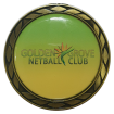GGNC Golden Grove Netball Club SADNA SA Districts Netball association partnership netball physio physio golden grove