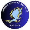 MHNC Modbury Hawks Netball Club SADNA SA Districts Netball association partnership netball physio physio golden grove