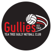 TTGNC Tea Tree Gully Netball Club SADNA SA Districts Netball association partnership netball physio physio golden grove