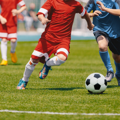 What’s the Best Recovery for a Soccer Groin Injury - allied health care adelaide my local physio plus